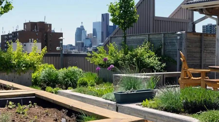 Flat roof in large city